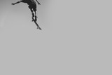 Skater in the air in black and white