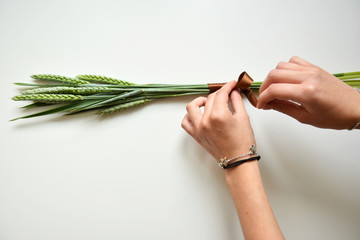 Woman's hands and ears of wheat