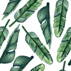 Fototapeta Watercolor hand painted seamless pattern with leaves of banana tree on white background. Bright tropical pattern is perfect for trendy textile design.