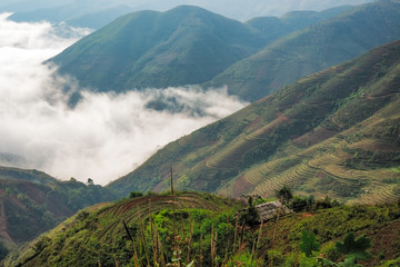 Wall Mural - Ta Xua is a famous mountain range in northern Vietnam. All year round, the mountain rises above the clouds creating cloud inversions.