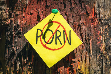 Sticker - on tree bark stickers with NO PORN inscription