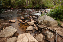 Glacier Creek Flows Gently Past The Large Shoreline Boulders At A Small Picnic Area Alongside Bear Lake Road Within Rocky Mountain National Park, Colorado
