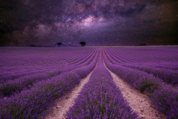 Wall Mural - amazing nature landscape. stunning night landscape, milky way sky with lines of blooming lavender me