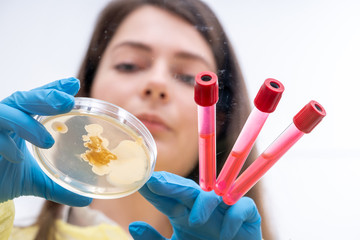 Poster - Young female laboratory assistant in a science lab with petri dishes microflora analysis