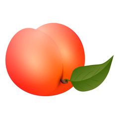 Poster - Whole peach icon. Cartoon of whole peach vector icon for web design isolated on white background