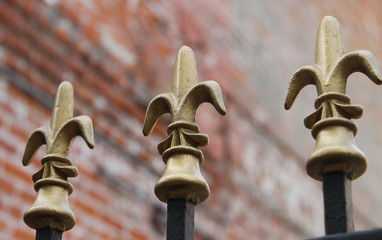 Iron Fence with Gold Fleur De Lis On Top