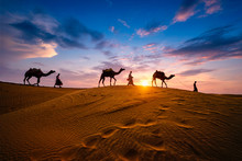 Indian Cameleers (camel Driver) Bedouin With Camel Silhouettes In Sand Dunes Of Thar Desert On Sunset. Caravan In Rajasthan Travel Tourism Background Safari Adventure. Jaisalmer, Rajasthan, India