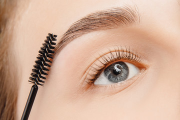 master brushes eyebrows to woman in beauty salon. correction of brow hair
