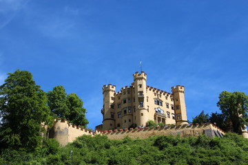 Castle with a Wall and trees in Front