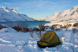 Fototapeta  - Backpacking w Arktyce. Rozbity namiot i biwakowanie w północnej Norwegii.