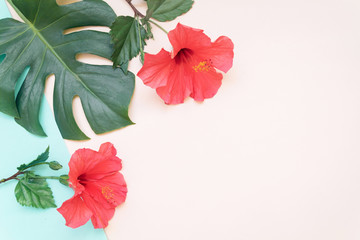 Wall Mural - Tropical Monstera leaves and red hibiskus summer minimal background with a space for text. Flatlay style view from above.