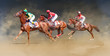 jockey horse racing isolated on dust background