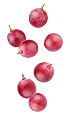 Wall Mural - red falling grapes isolated on a white background with clipping path.