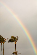 A Rainbow With Palm Trees And Dark Clouds Around It. 