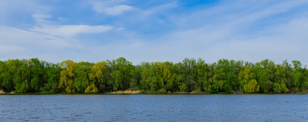 Poster - idyllic nature landscape scenic view summer clear weather day time green forest trees foliage shore line along calm river water and blue sky background panoramic photography poster empty