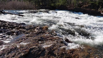 Wall Mural - Fast moving water from snow run off in the high country of the Sierra Nevada mountains in California 