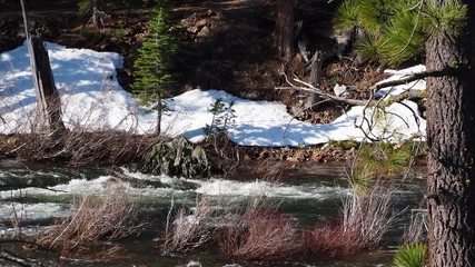 Wall Mural - Snow run off in the south Yuba near Donner pass 