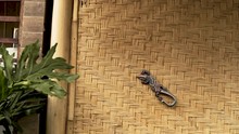 Colorfully Painted Decoration Hangs On Exterior Wall Of Home Made Of Woven Palm Leaves And Bamboo Posts. Garden Art Outside House In Bali, Indonesia. Gecko Or Lizard Statute With Exotic Colors.