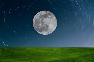meadow at night in full moon light