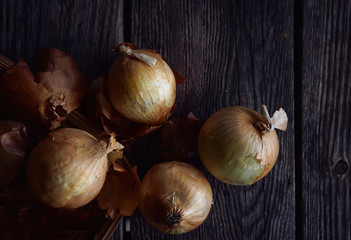 Wall Mural - The onion on rusty wooden table