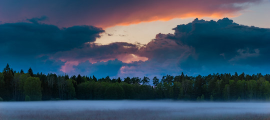 Wall Mural - dangerous, dramatic evening storm passing over the forest-panorama