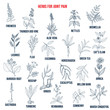 © foxyliam - Best herbs for joint pain