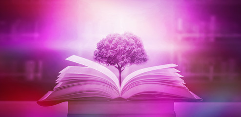 Poster - the concept of education by planting a tree of knowledge in the opening of an old book in the librar