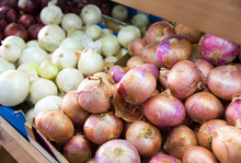 Different Onion Varieties