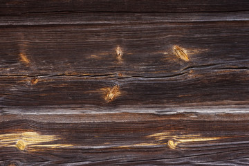 Wooden texture with resinous knots.. The wall of old wooden boards. Close-up, Background