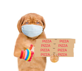 Poster - Pizza delivery dog wearing medical protective mask holds pizza boxes and shows thumbs up gesture. isolated on white background