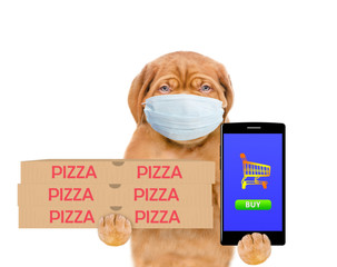 Poster - Pizza delivery puppy wearing medical protective mask holds pizza boxes and smartphone. isolated on white background