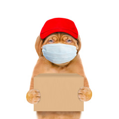 Poster - Puppy wearing medical protective mask and red cap holds big box. Delivery during coronavirus concept. Isolated on white background