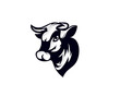 Black head buffalo cow ox bull drawing art logo design inspiration