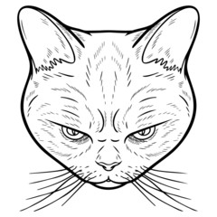 Naklejka na meble evil looking cat head. monochrome, comic, t-shirt, tattoo, frontal.