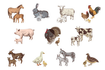 Wall Mural - Large set of farm animals with their babies