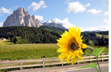 Poster - der Langkofel im Grödnertal