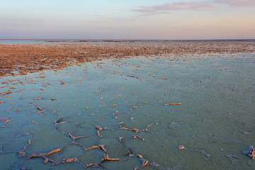 Sticker - Scenic Dallol depression with salt lake in sunset