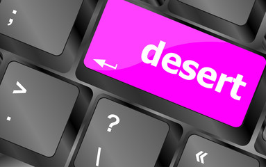 Poster - Computer keyboard with key desert. Internet concept
