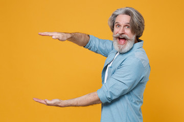 Shocked elderly gray-haired mustache bearded man in blue shirt isolated on yellow wall background. People lifestyle concept. Mock up copy space. Gesturing demonstrating size with vertical workspace.