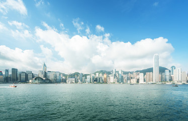 Fototapete - Hong Kong harbour, perfect day