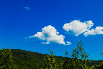 mountain landscape of mountains with forest and blue sky