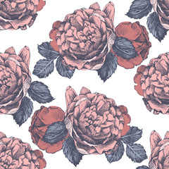 Wall Mural - Floral seamless pattern with hand drawn roses in vintage style