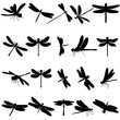 vector isolated dragonfly silhouettes set