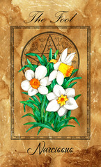 Wall Mural - The Fool. Major Arcana tarot card with Narcissus and magic seal.