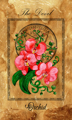 Wall Mural - Devil. Major Arcana tarot card with Orchid and magic seal.