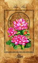 Wall Mural - The Star. Major Arcana tarot card with Lotus and magic seal.