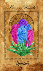 Wall Mural - King of Wands. Minor Arcana tarot card with Hyacinth and magic seal.