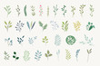 © PureSolution - Set of natural and floral elements for graphic and web design. Vector illustrations for natural and organic products, beauty, fashion, spa and wellness, wedding and events, environment.