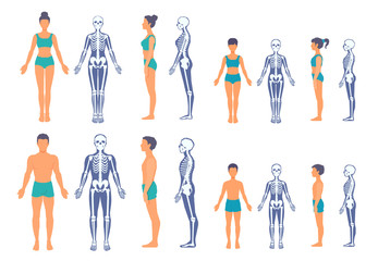 people anatomy. the human body and a skeleton with a silhouette of a body. a male, female person sta