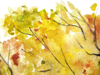 Watercolor autumn yellow orange green tree leaf foliage branch texture background